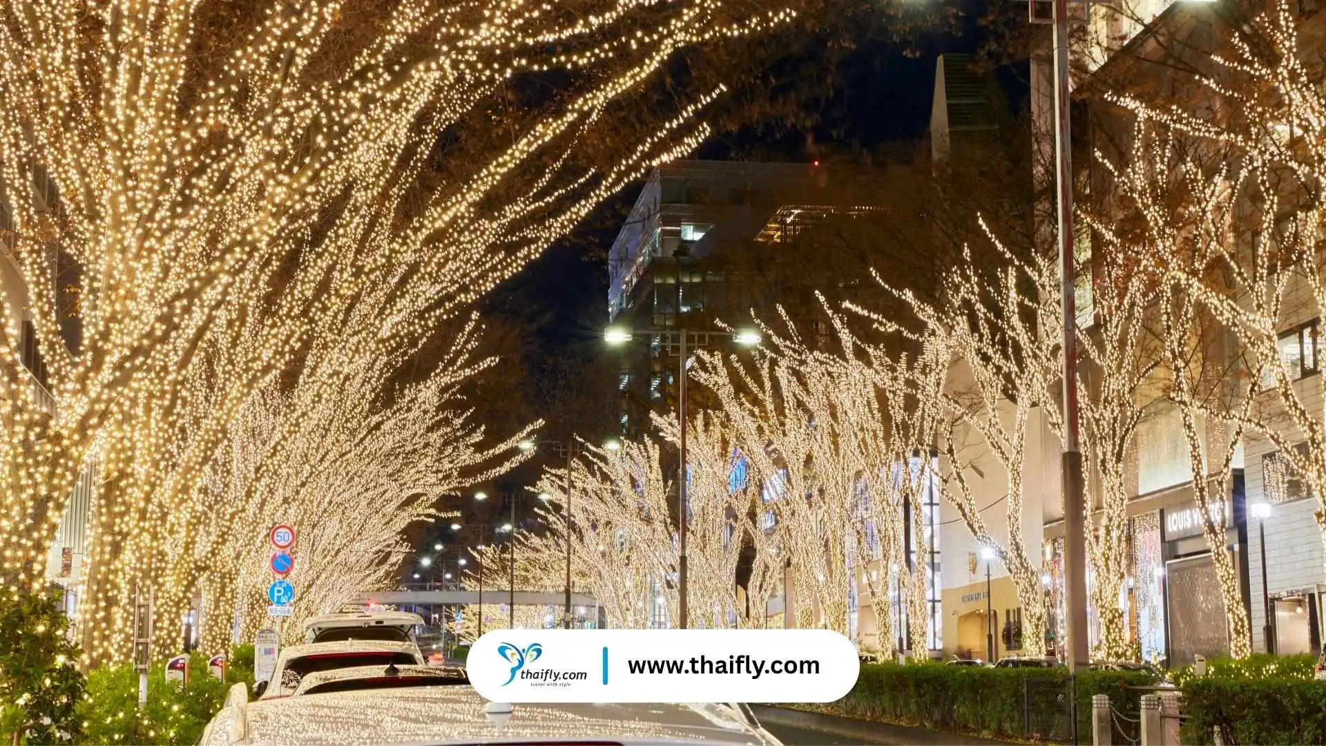 ไฟประดับคริสต์มาส (Winter Illuminations) 