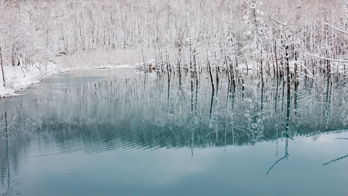 บ่อน้ำสีฟ้า (Blue Pond) – ฮอกไกโด