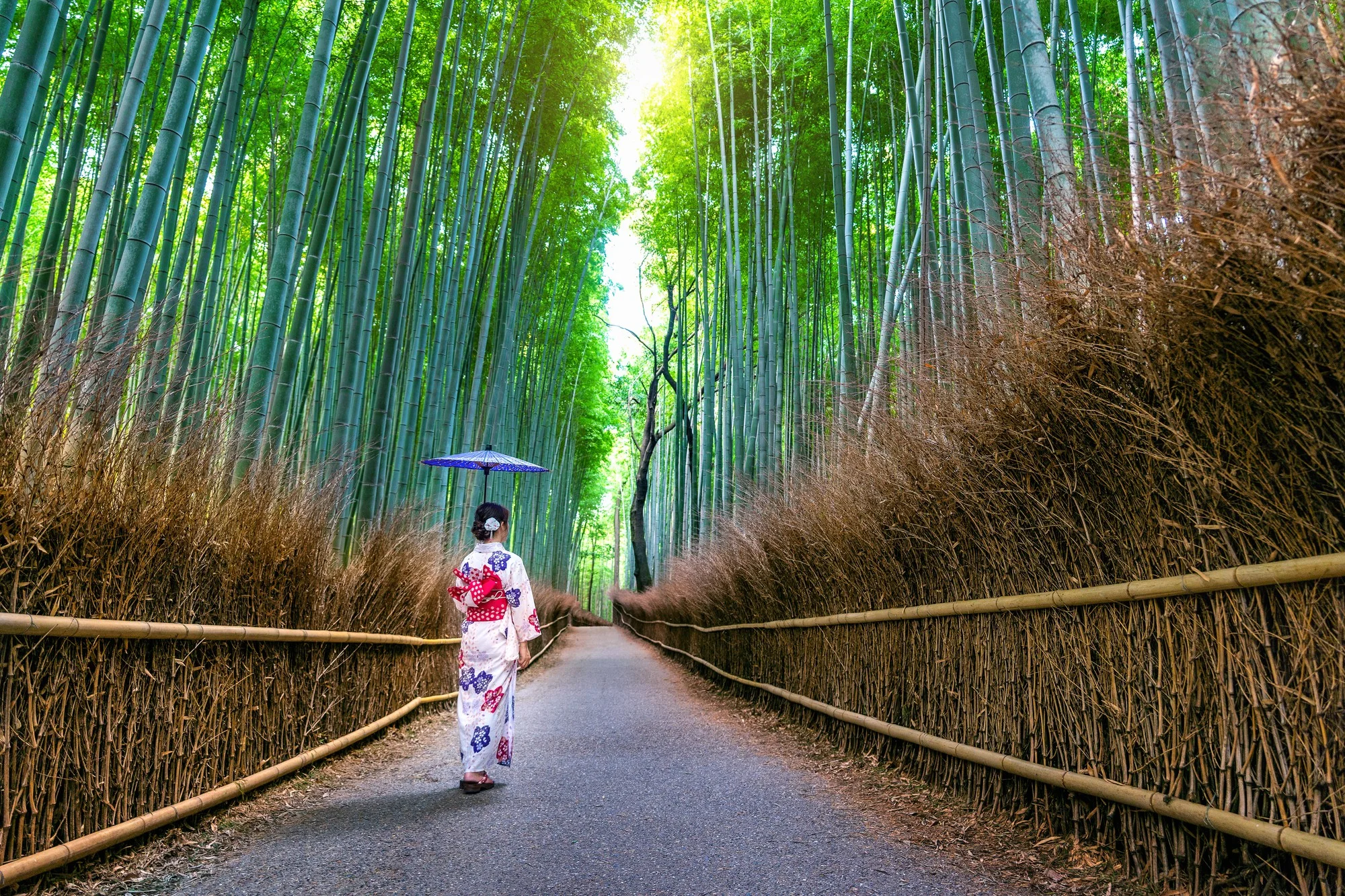 ป่าไผ่อาราชิยามะ (Arashiyama Bamboo Grove) — เกียวโต