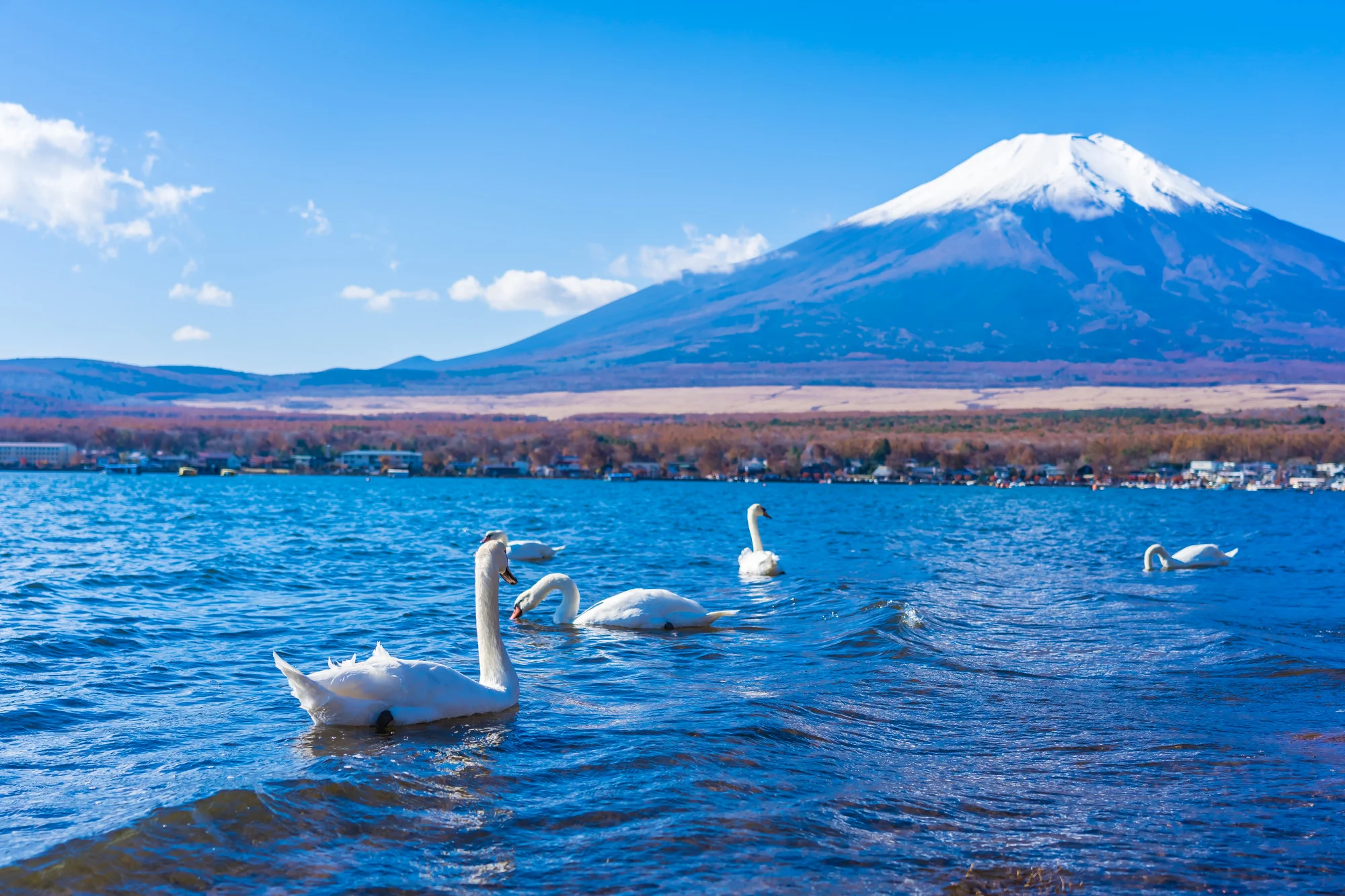 ทะเลสาบคาวากุจิ (Lake Kawaguchi) — ใกล้ภูเขาไฟฟูจิ