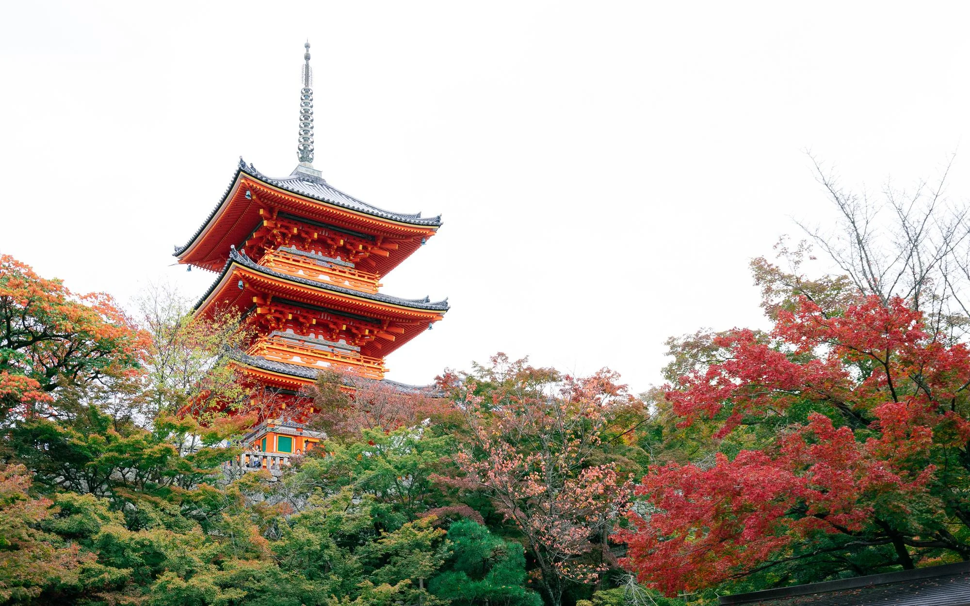 เกียวโต (Kyoto) — เมืองแห่งวัดและซามูไร