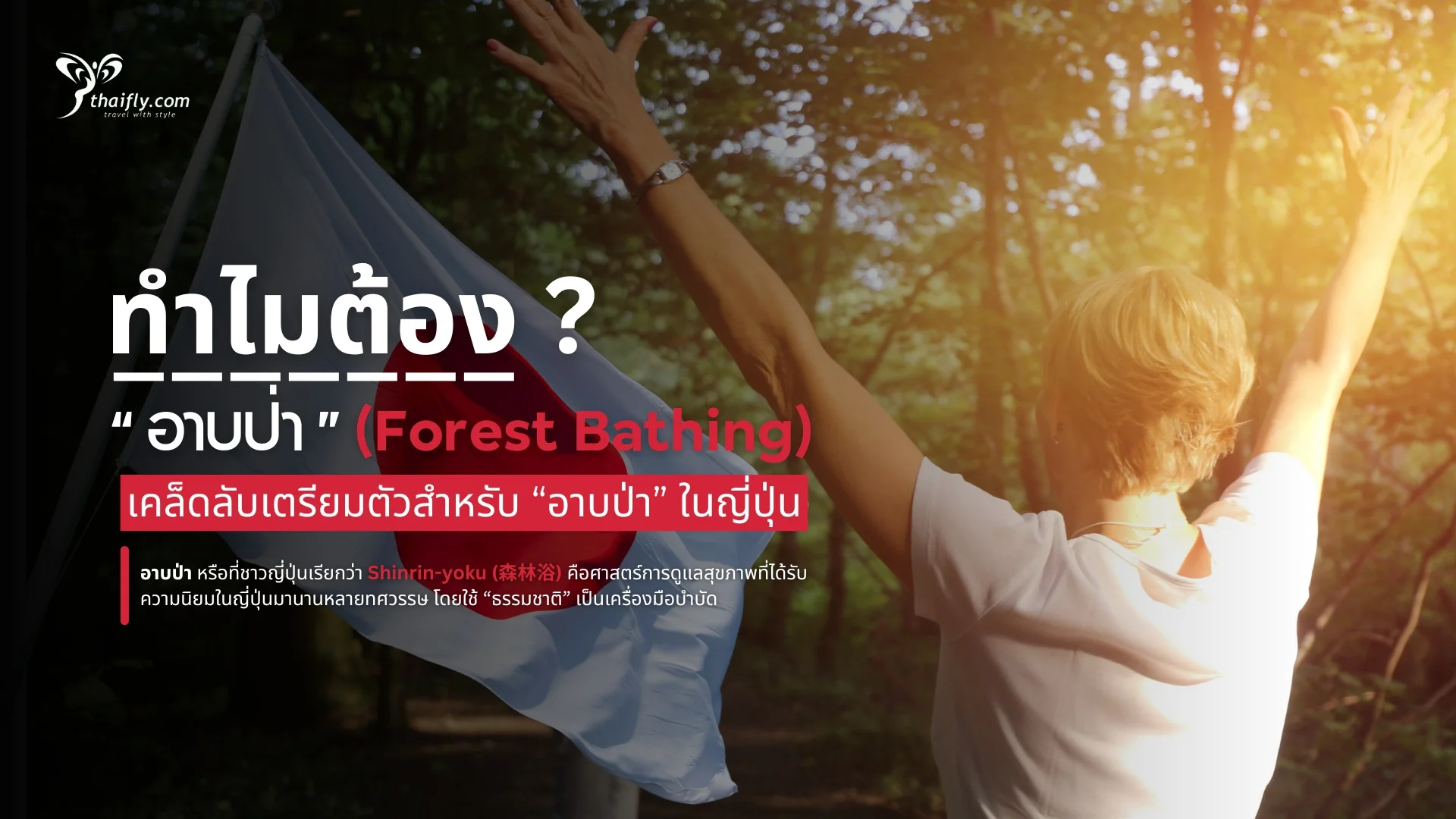 ทำไมต้อง “อาบป่า” (Forest Bathing) เมื่อไปญี่ปุ่น?