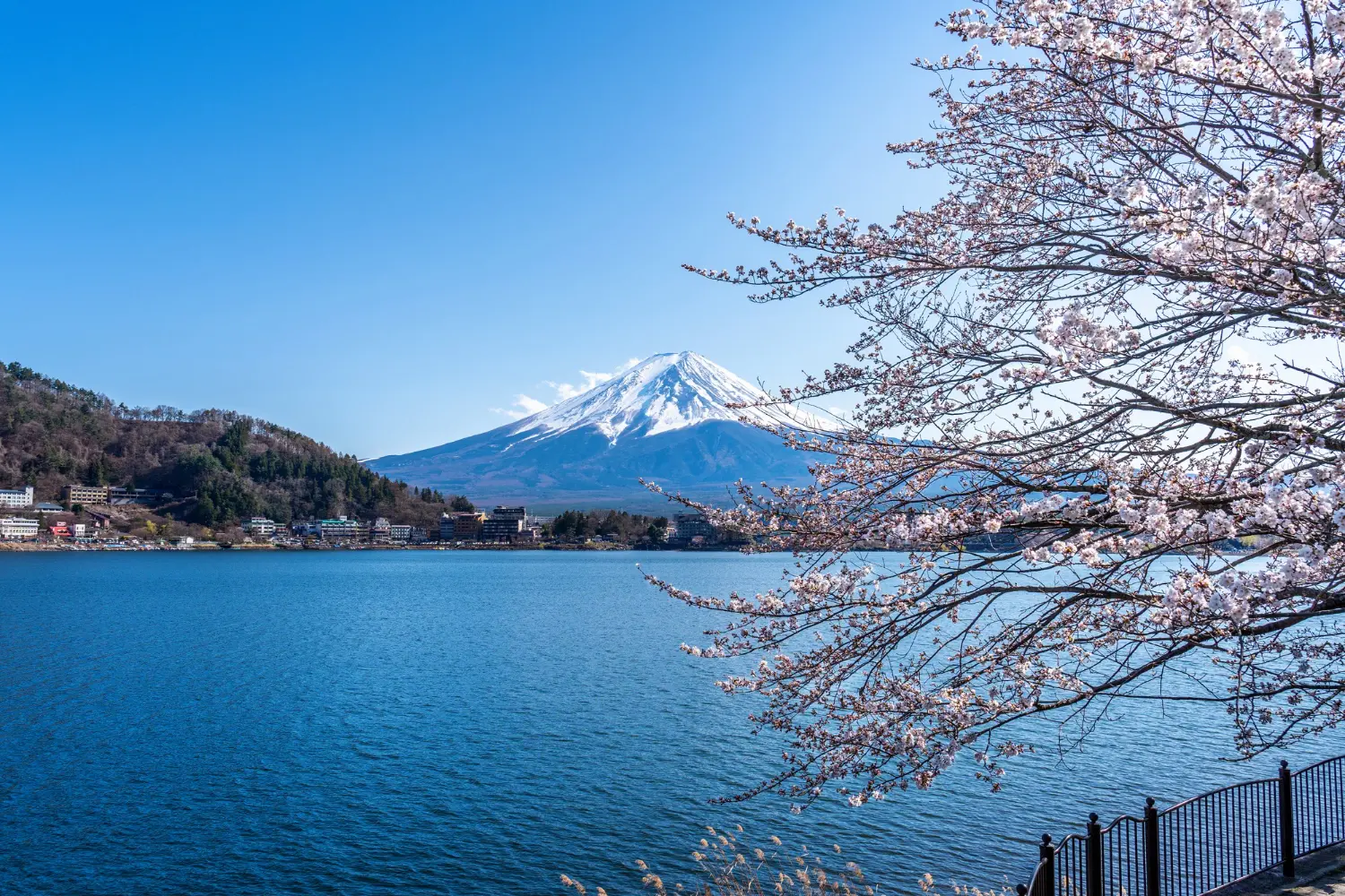 1. ภูเขาฟูจิ & ทะเลสาบคาวากุจิโกะ (Yamanashi)