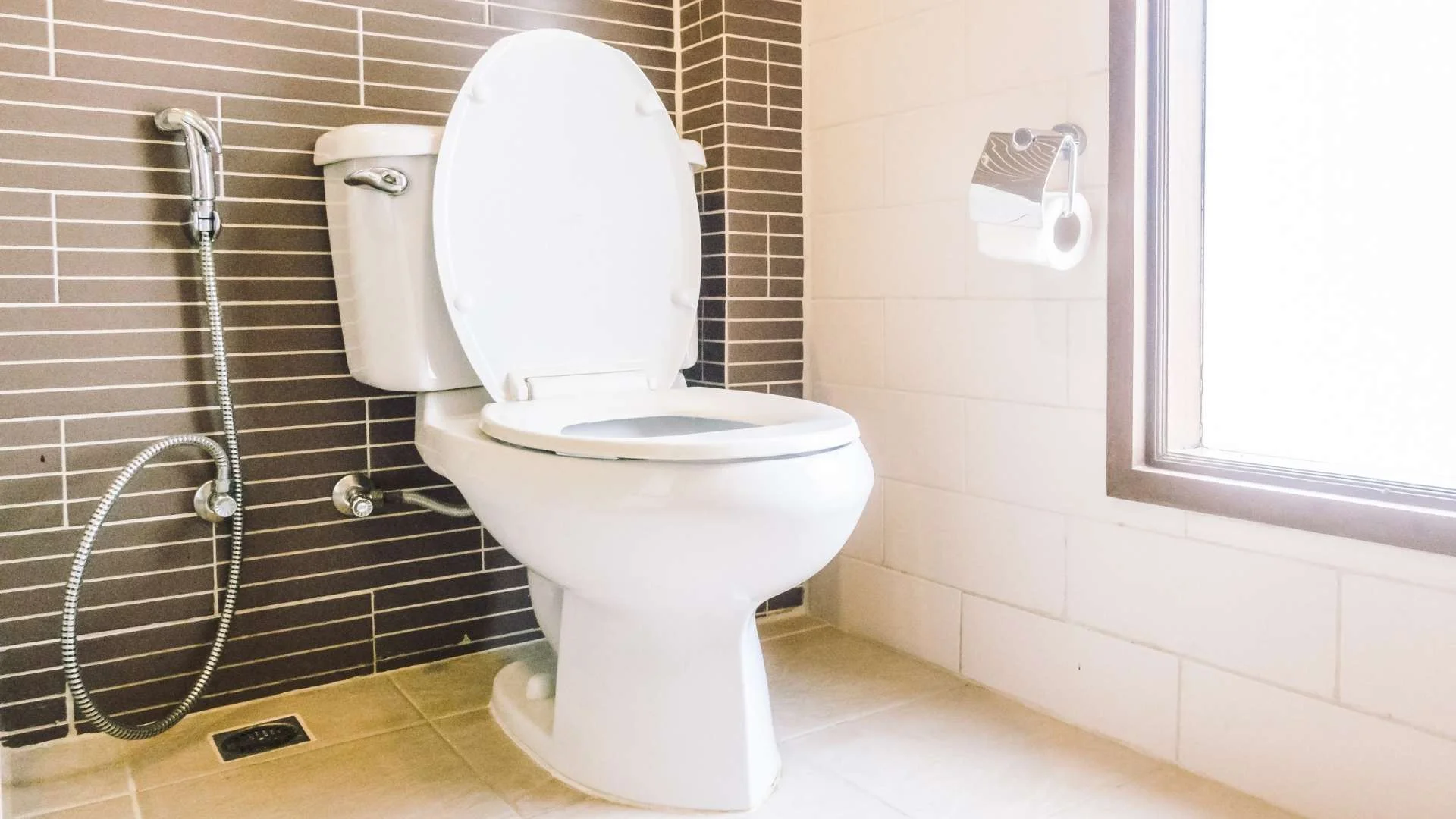 ห้องน้ำชักโครกแบบตะวันตก (Western Toilet)