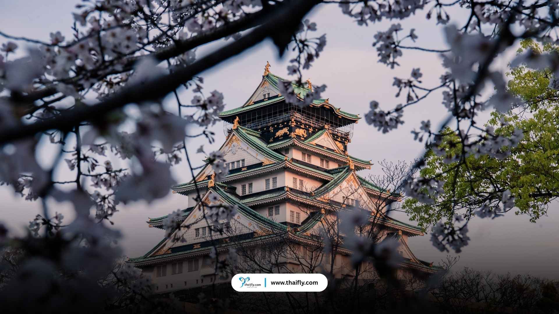 โอซาก้า (Osaka) – เมืองแห่งอาหารอร่อย