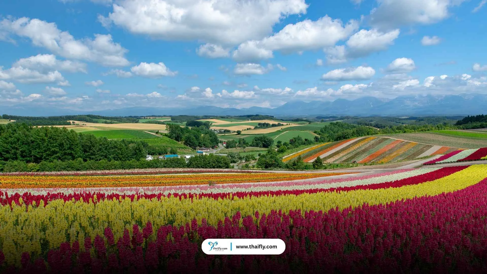 ฮอกไกโด (Hokkaido) – ธรรมชาติสี่ฤดู