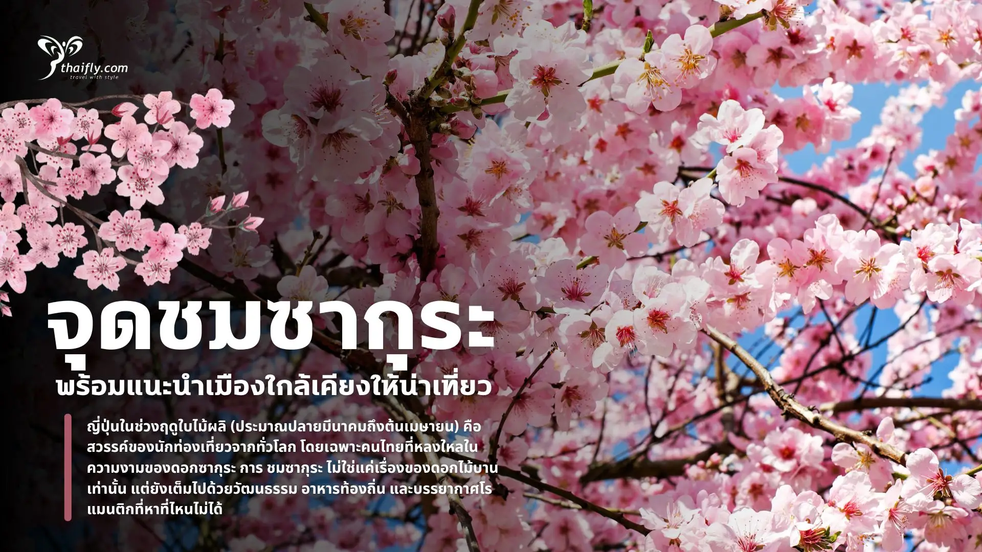 อัปเดตจุดชมซากุระยอดฮิตในญี่ปุ่น พร้อมแนะนำเมืองใกล้เคียงให้น่าเที่ยว
