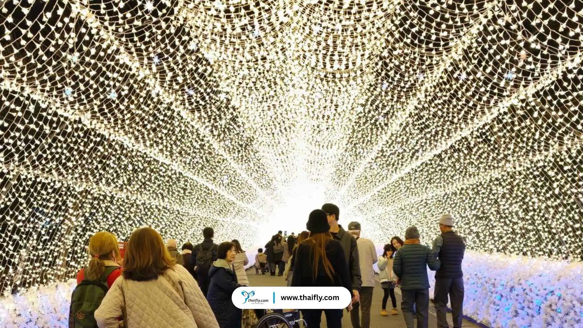 Nabana no Sato Illumination 2025-2026 Nabana no Sato Illumination