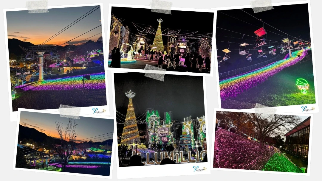 Sagamiko Illumillion 2025-2026 | Thaifly Sagamiko Illumillion 2025-2026