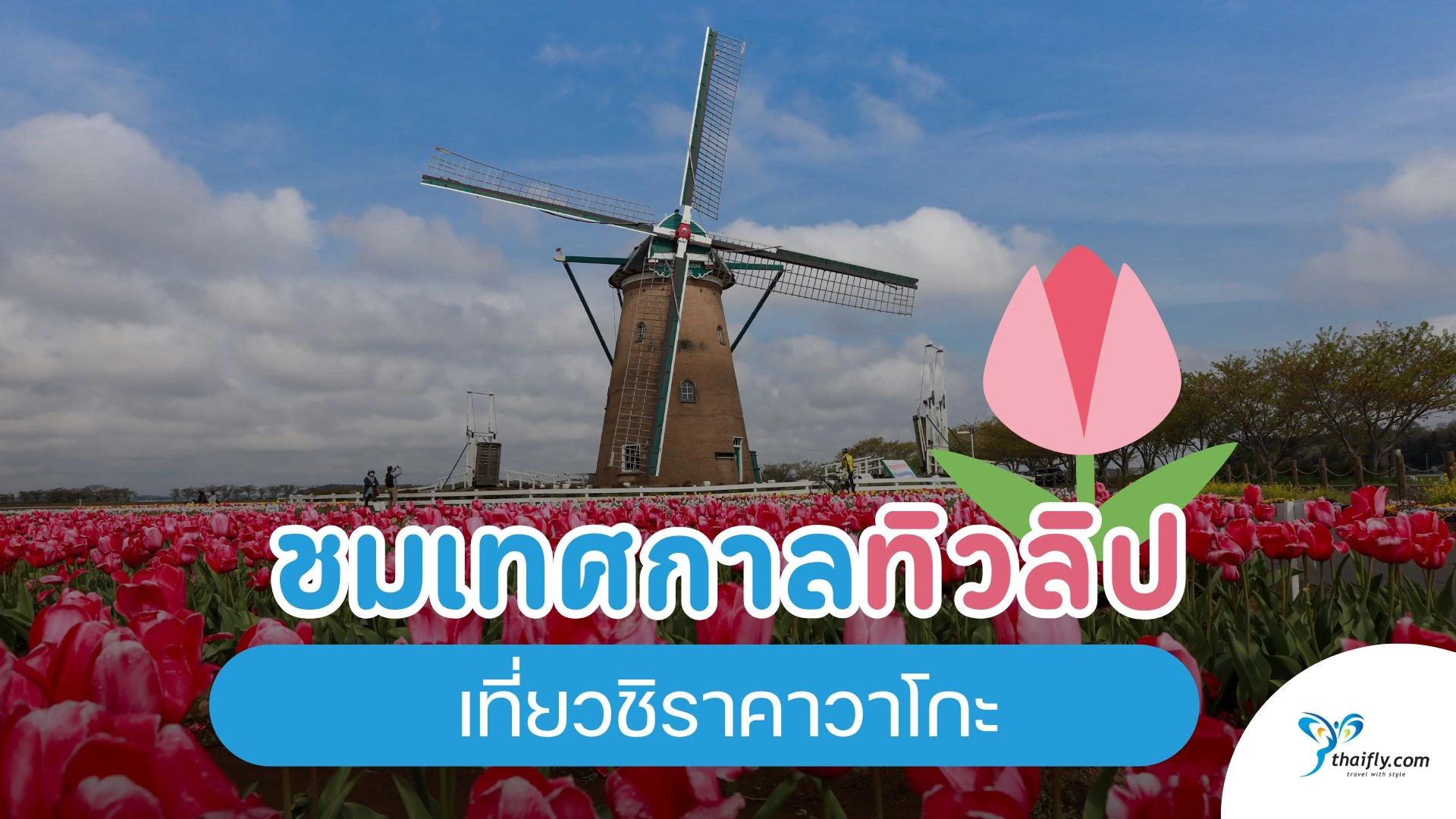 เที่ยวชิราคาวาโกะ ชมเทศกาลทิวลิป – ทัวร์ญี่ปุ่น นาโกย่า