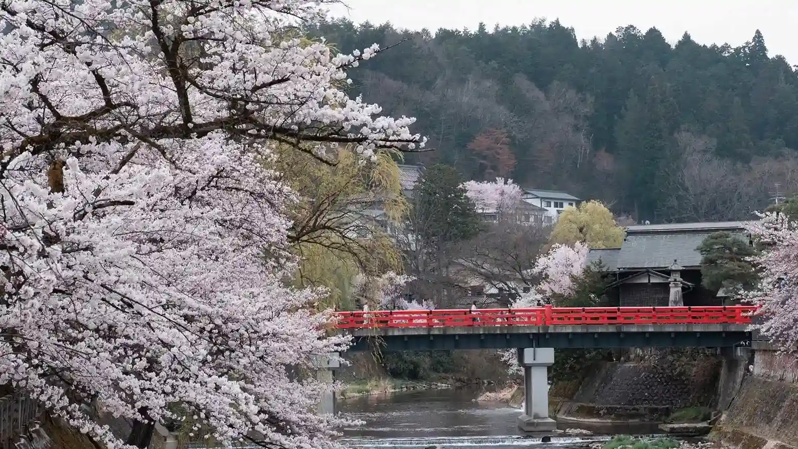 สะพาน นาคาบาชิ (Nakabashi Bridge)