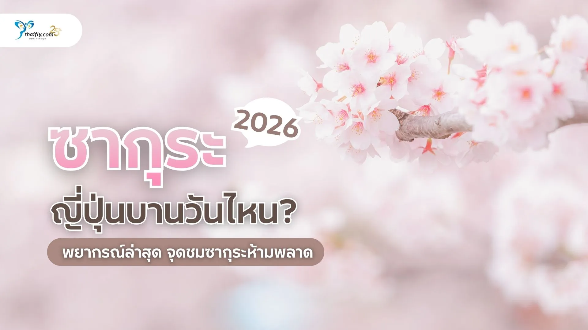 ซากุระ ญี่ปุ่น 2026 บานวันไหน? พยากรณ์ล่าสุด จุดชมซากุระห้ามพลาด