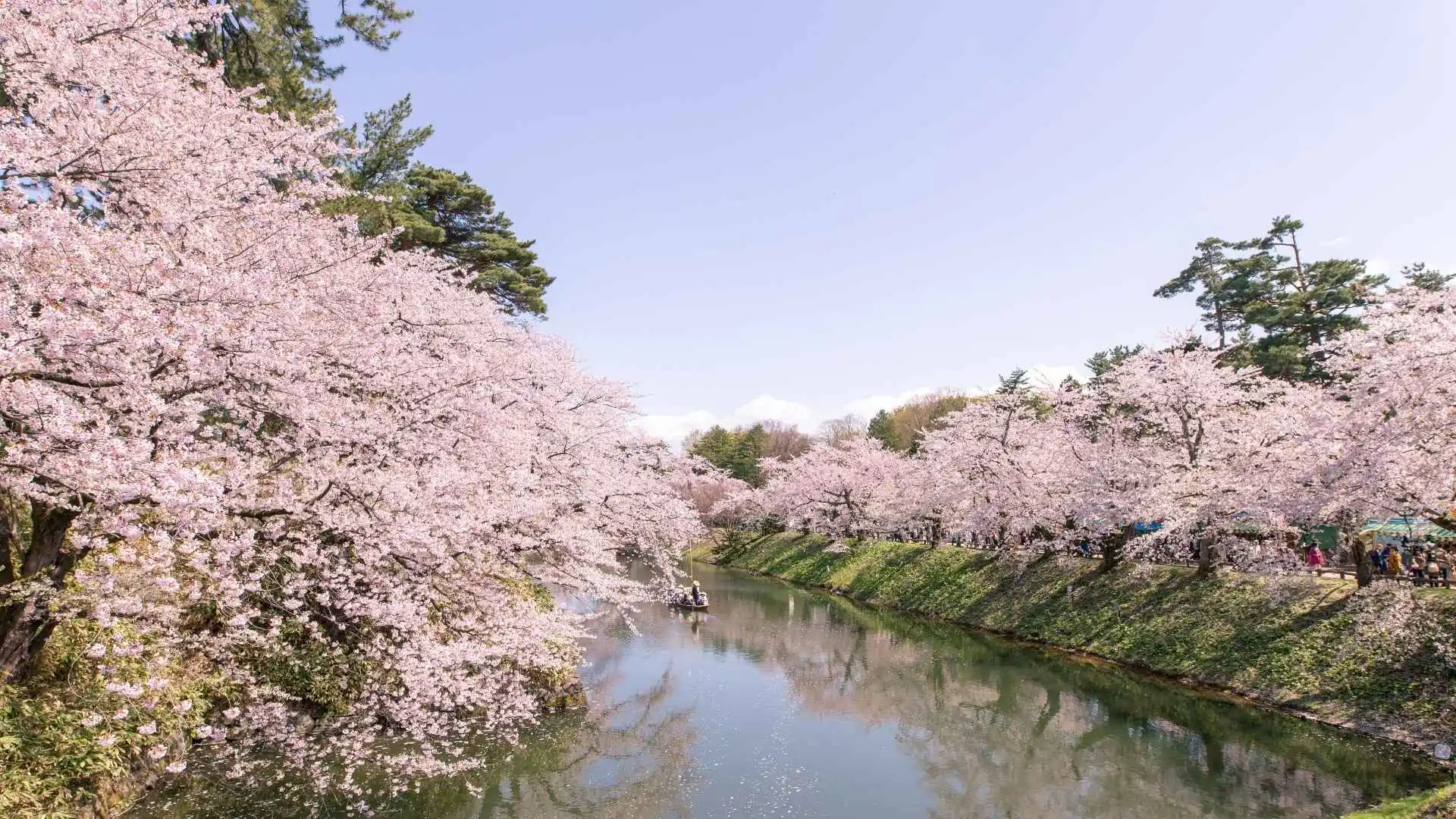 สวนฮิโรซากิ (Hirosaki Park) – จังหวัดอาโอโมริ