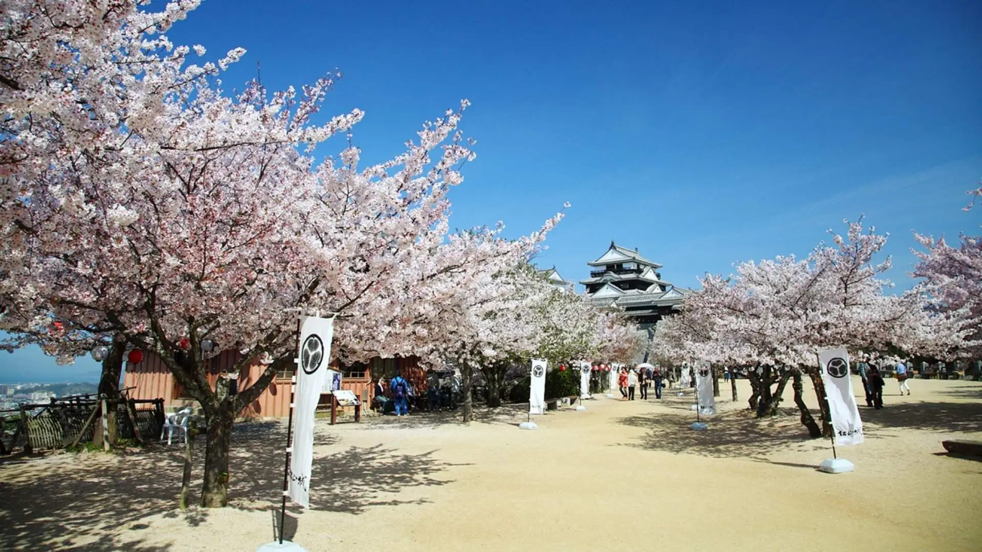 ปราสาทมัตสึยามะ (Matsuyama Castle) – เอฮิเมะ
