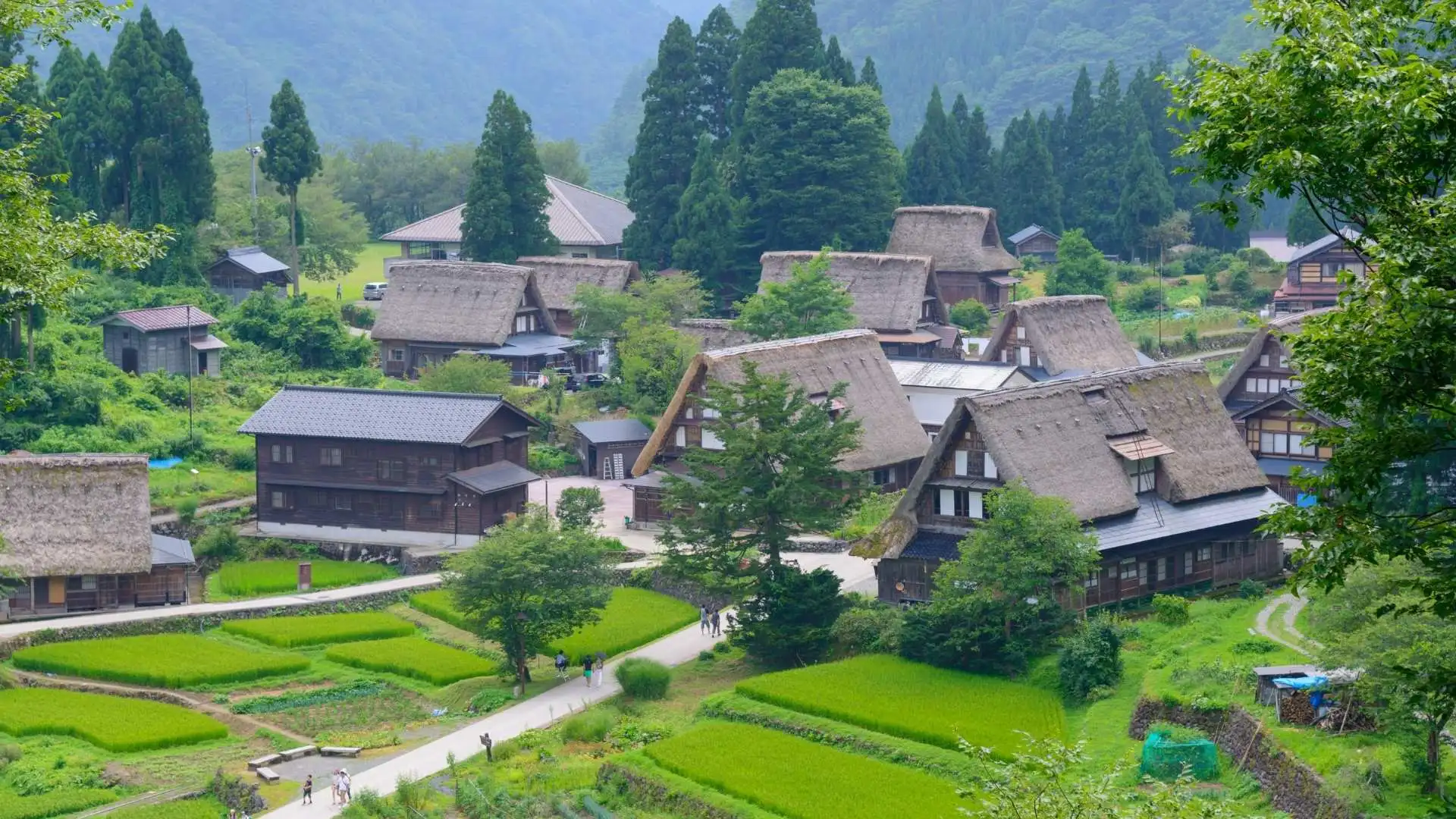 พิพิธภัณฑ์กลางแจ้งหมู่บ้านโบราณ (Gassho-zukuri Minkaen)