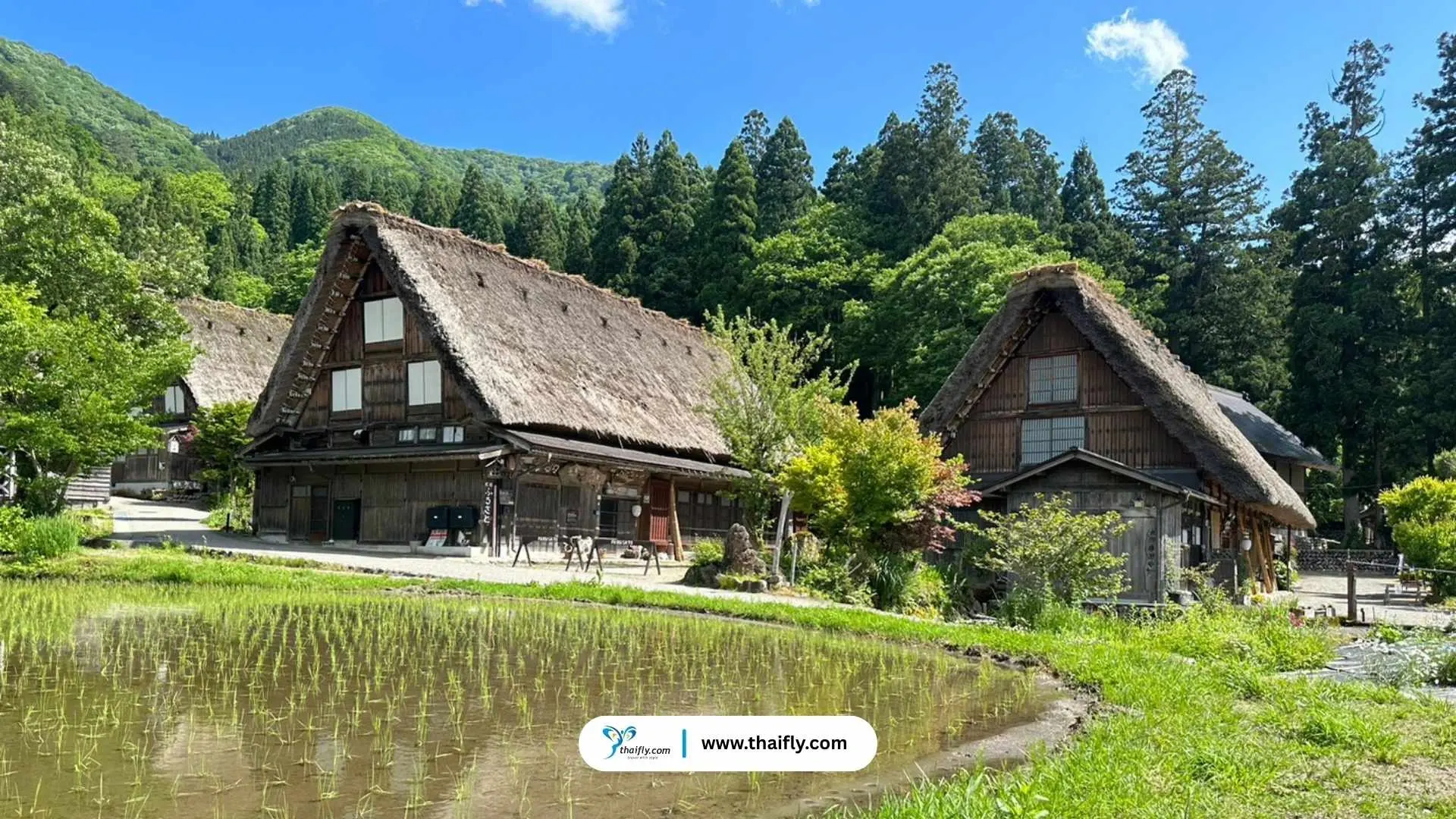 จุดเด่นของหมู่บ้านชิราคาวาโกะ