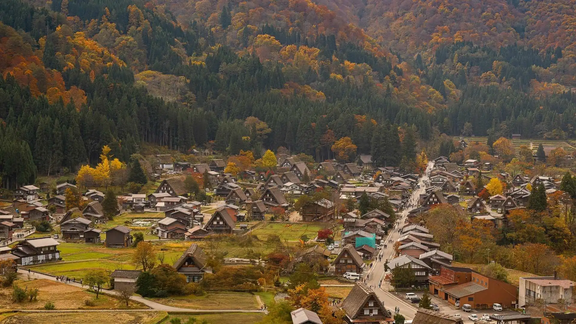 หมู่บ้านชิราคาวาโกะ -  ฤดูใบไม้ร่วง (กันยายน – พฤศจิกายน)