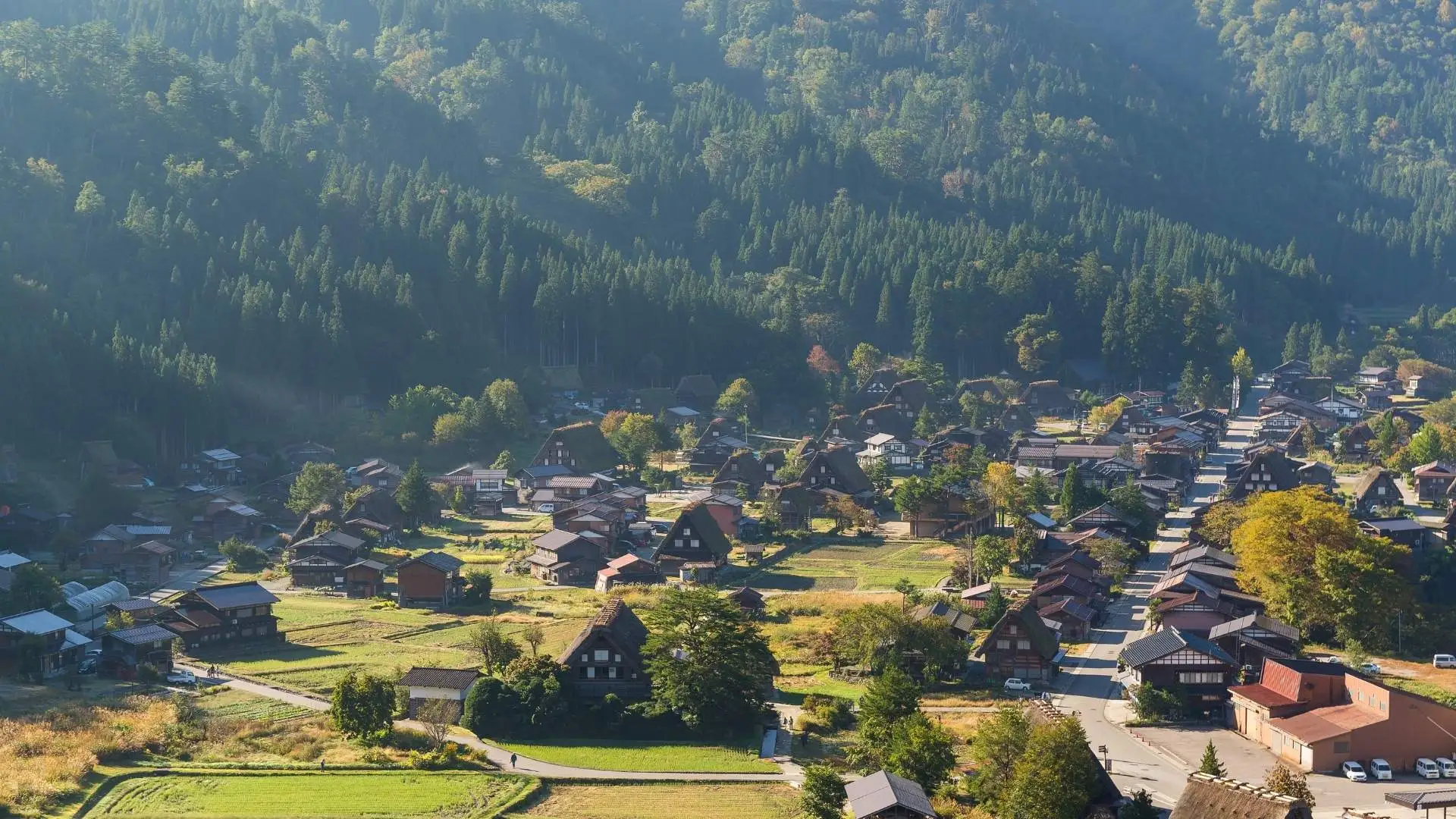 หมู่บ้านชิราคาวาโกะ -  ฤดูร้อน (มิถุนายน – สิงหาคม)