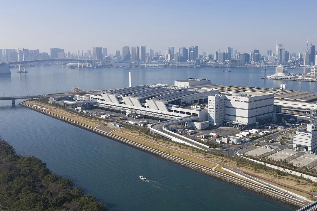 Toyosu Fish Market