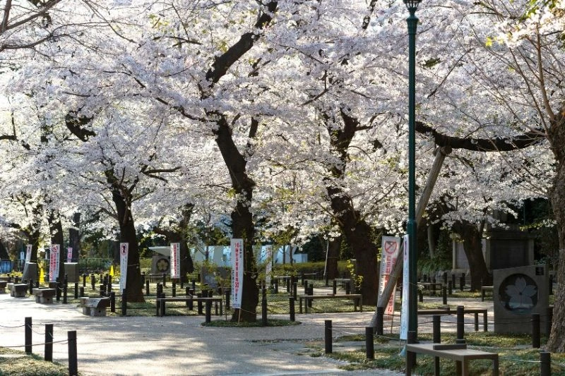 Ueno Park