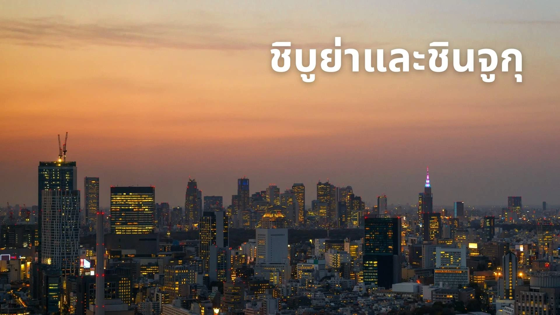 โตเกียวไปไหนดี 2025 | แนะนำสถานที่ท่องเที่ยวและเคล็ดลับเที่ยวโตเกียว