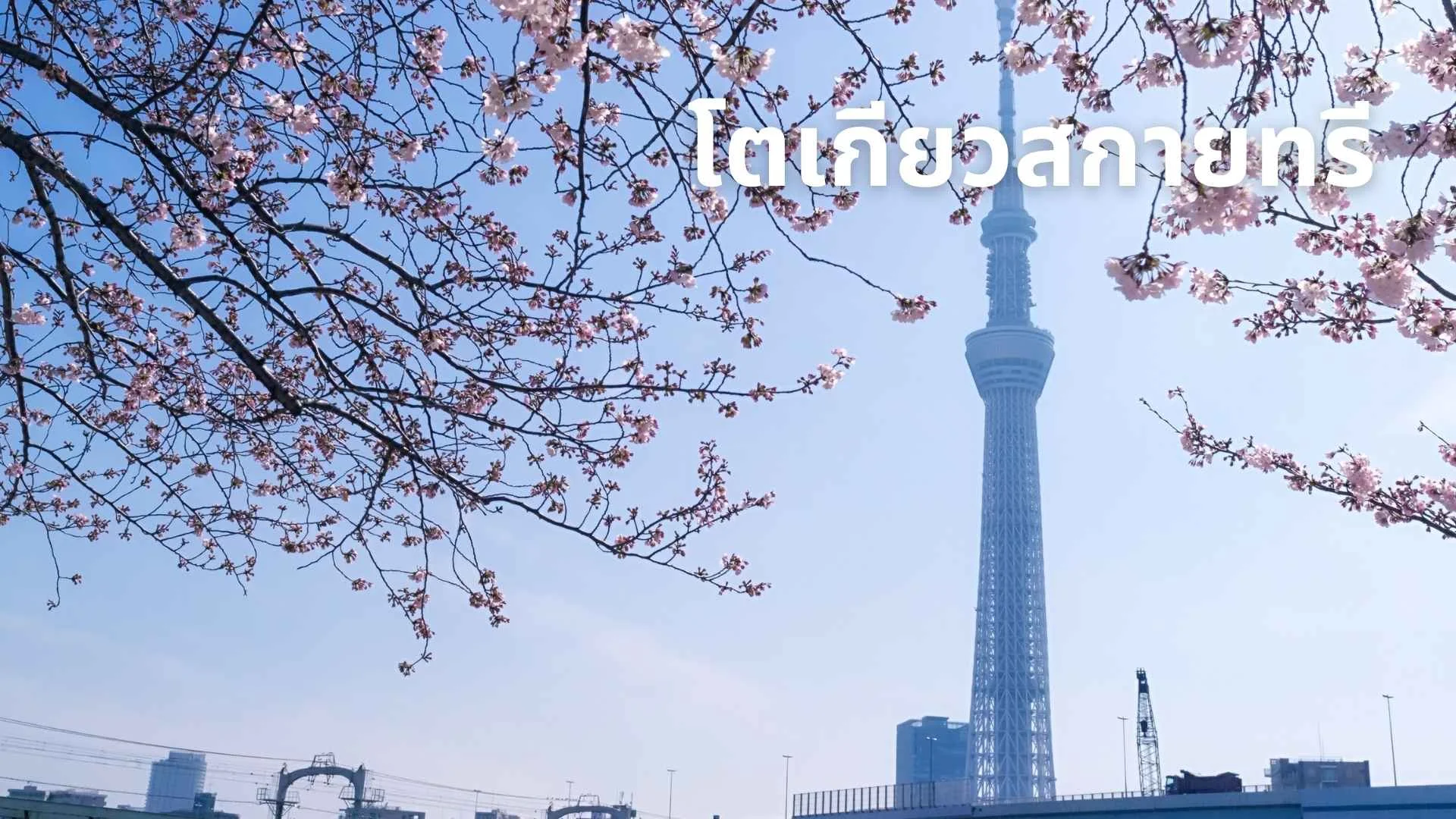 3. โตเกียวสกายทรี (Tokyo Skytree)