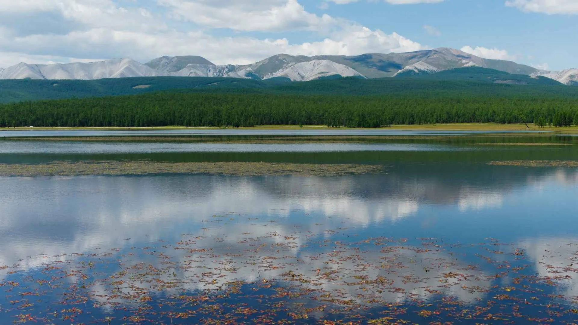 ทะเลสาบคูวส์กุล (Lake Khövsgöl)