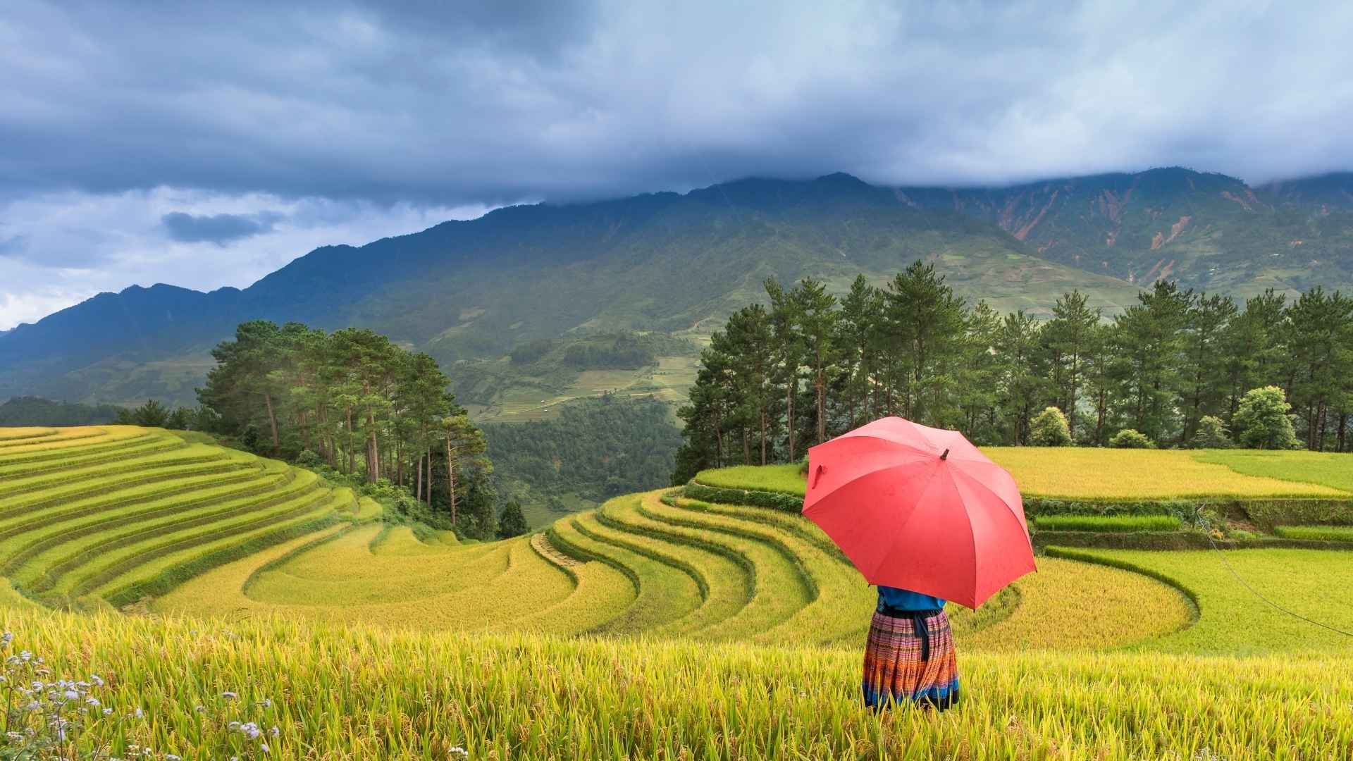 ซาปา (Sapa): เมืองในหุบเขาสำหรับคนรักภูเขาและสายเดินป่า