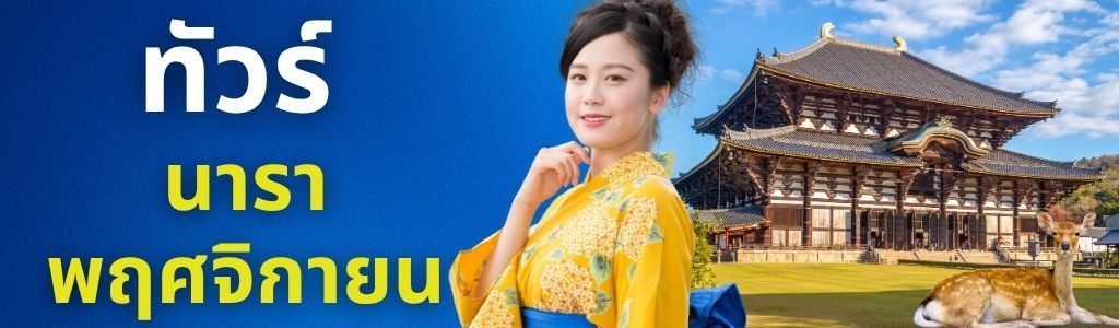 ทัวร์นารา พฤศจิกายน