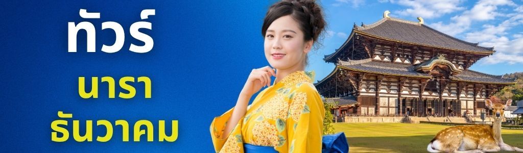 ทัวร์นารา ธันวาคม
