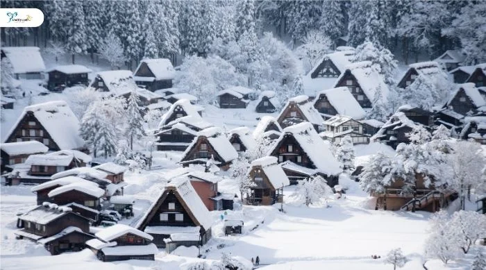 ทัวร์ญี่ปุ่น (ฤดูหนาว)