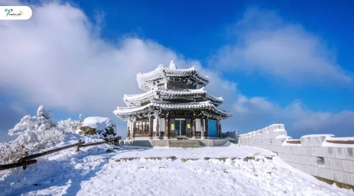 ช่วงเวลาน่าเที่ยวเกาหลีในแต่ละฤดูกาล ธ.ค. – ก.พ.  (ฤดูหนาว)